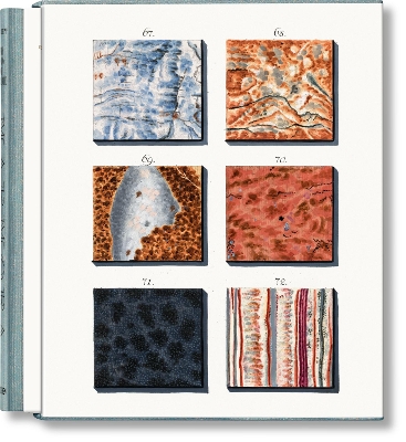 TASCHEN CLOTHBOUND CLASSICS : JAN CHRISTIAAN SEPP. THE BOOK
