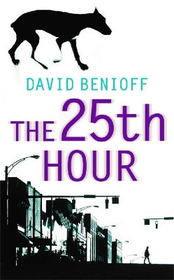 THE-25TH-HOUR-DAVID-BENIOFF.jpg THE 25TH HOUR - DAVID BENIOFF