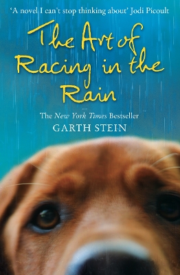 THE ART OF RACING IN THE RAIN PB A FORMAT - GARTH STEIN