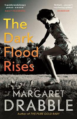 THE DARK FLOOD RISES PB - MARGARET DRABBLE
