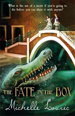 THE FATE IN THE BOX  PB - MICHELLE LOVRIC