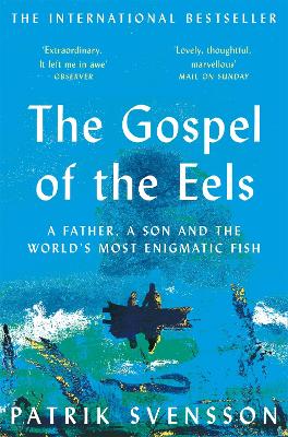 THE GOSPEL OF THE EELS - PATRIK SVENSSON-AGNES BROOME