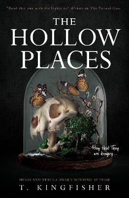THE HOLLOW PLACES PB - T. KINGFISHER