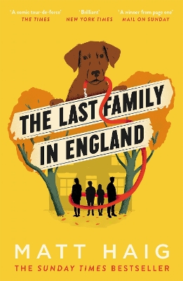 THE LAST FAMILY IN ENGLAND - MATT HAIG