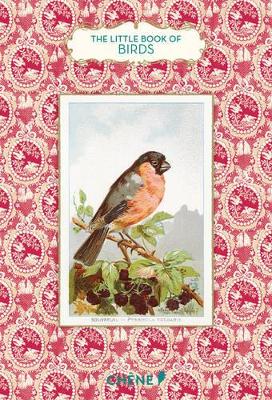 THE LITTLE BOOK OF BIRDS  HC - ANNE JANKELIOWITCH