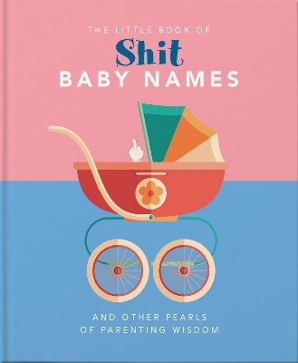 THE LITTLE BOOK OF SHIT BABY NAMES : AND OTHER PEARLS OF PAR