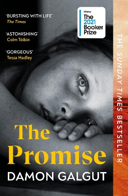 THE PROMISE PB - DAMON GALGUT