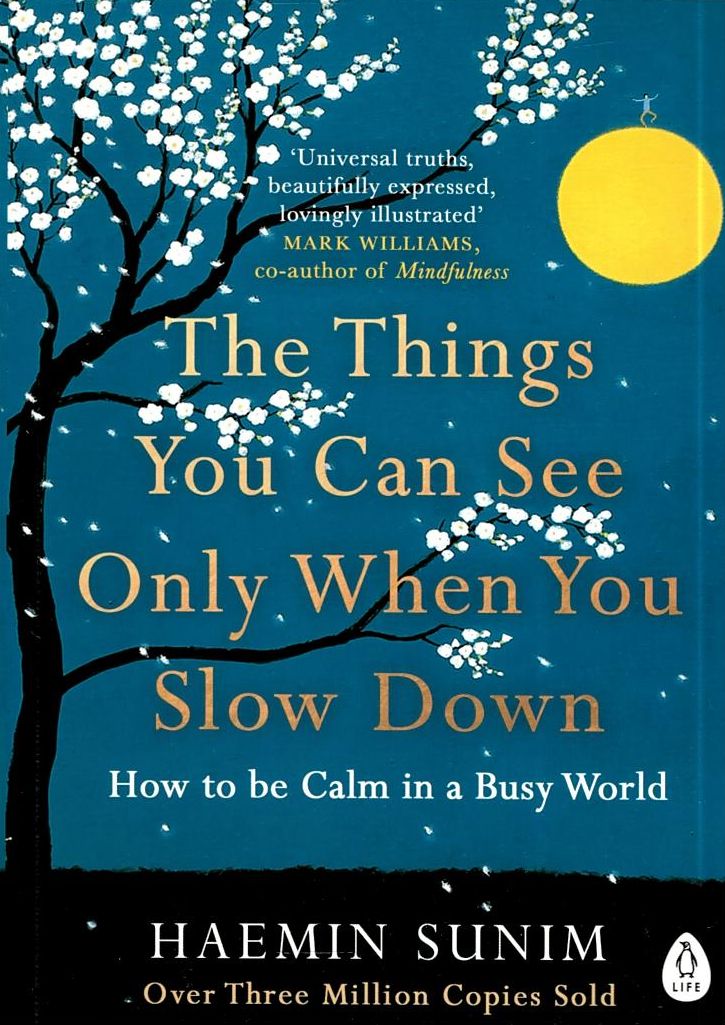 THE THINGS YOU CAN SEE WHEN YOU SLOW DOWN :HOW TO BE CALM IN