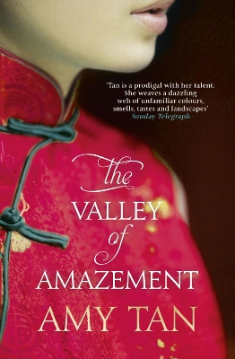 THE VALLEY OF AMAZEMENT PB B FORMAT - AMY TAN