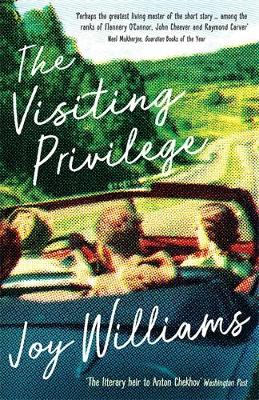 THE VISITING PRIVILEGE PB - JOY WILLIAMS