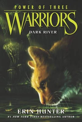 THE WARRIORS : THE POWER OF THREE 2: DARK RIVER PB - ERIN HU