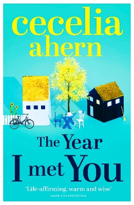 THE YEAR I MET YOU PB - CECELIA AHERN