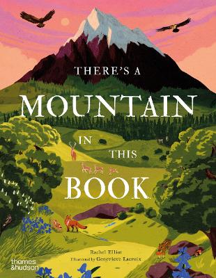 THERES A MOUNTAIN IN THIS BOOK HC - RACHEL ELLIOT