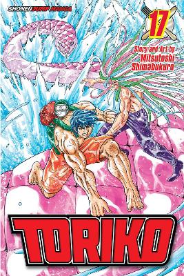 TORIKO 17  PA - MITSUTOSHI SHIMABUKURO