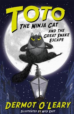 TOTO THE NINJA CAT AND THE GREAT SNAKE ESCAPE  PB - DERMOT O