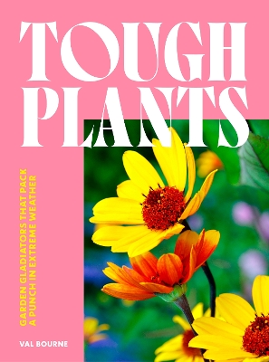 TOUGH PLANTS HC - VAL BOURNE