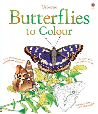 USBORNE : BUTTERFLIES COLOURING BOOK PB - MEGAN CULLIS