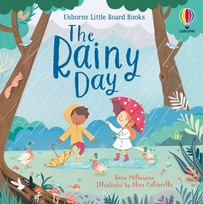 USBORNE LITTLE BOARD BOOKS : THE RAINY DAY HC BBK - ANNA MIL