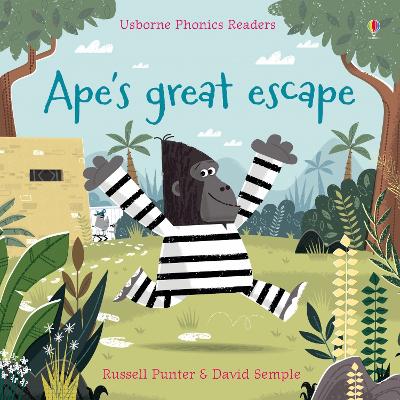 USBORNE PHONIC READERS : APES GREAT ESCAPE PB - RUSSELL PUNT