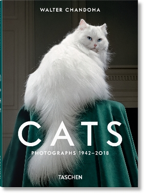 WALTER CHANDOHA. CATS. PHOTOGRAPHS 1942-2018 HC - SUSAN MICH