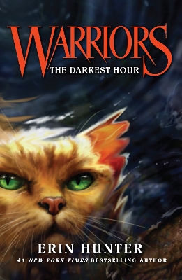 WARRIOR CATS 6: THE DARKEST HOUR PB B FORMAT - ERIN HUNTER