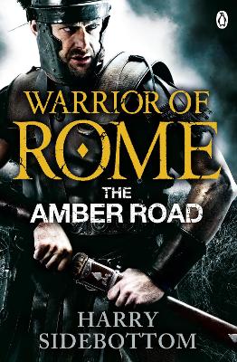 WARRIOR OF ROME 6: THE AMBER ROAD PB - HARRY SIDEBOTTOM
