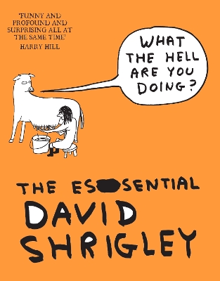 WHAT THE HELL ARE YOU DOING?: THE ESSENTIAL DAVID SHRIGLEY -