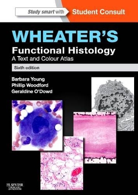 WHEATERS-FUNCTIONAL-HISTOLOGY-6TH-EDITION-BARBARA-YOUNG-GE.jpg WHEATERS FUNCTIONAL HISTOLOGY 6TH EDITION - BARBARA YOUNG-GE