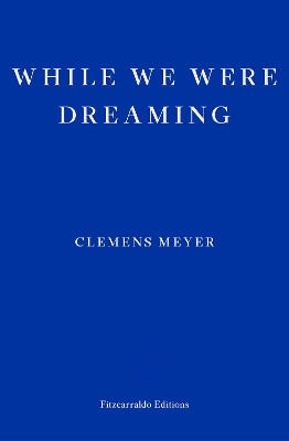 WHILE WE WERE DREAMING - CLEMENS MEYER-KATY DERBYSHIRE