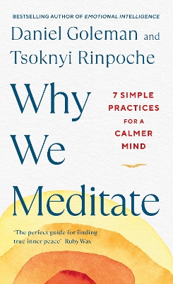 WHY WE MEDITATE :7 SIMPLE PRACTICES FOR A CALMER MINS HC - D