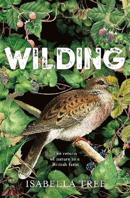 WILDING - ISABELLA TREE