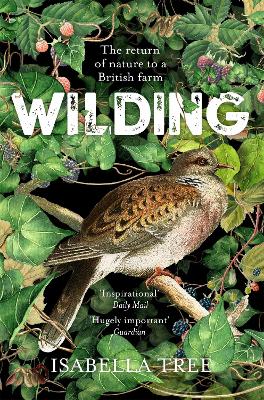 WILDING - ISABELLA TREE