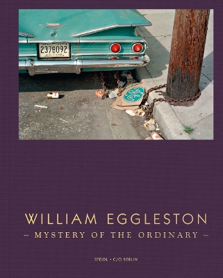 WILLIAM EGGLESTON: MYSTERY OF THE ORDINARY HC - FELIX HOFFMA