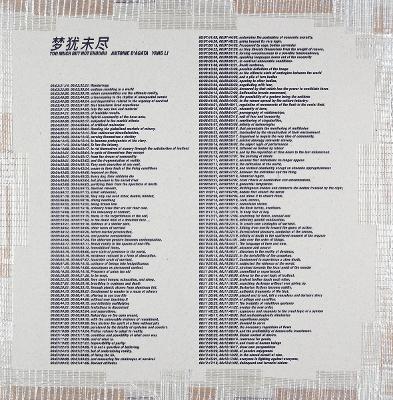 YANG LI AND ANTOINE D’AGATA: TOO MUCH BUT NOT ENOUGH (ENGLIS