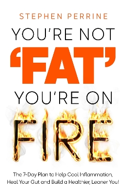 YOURE NOT FAT YOURE ON FIRE - STEPHEN PERRINE