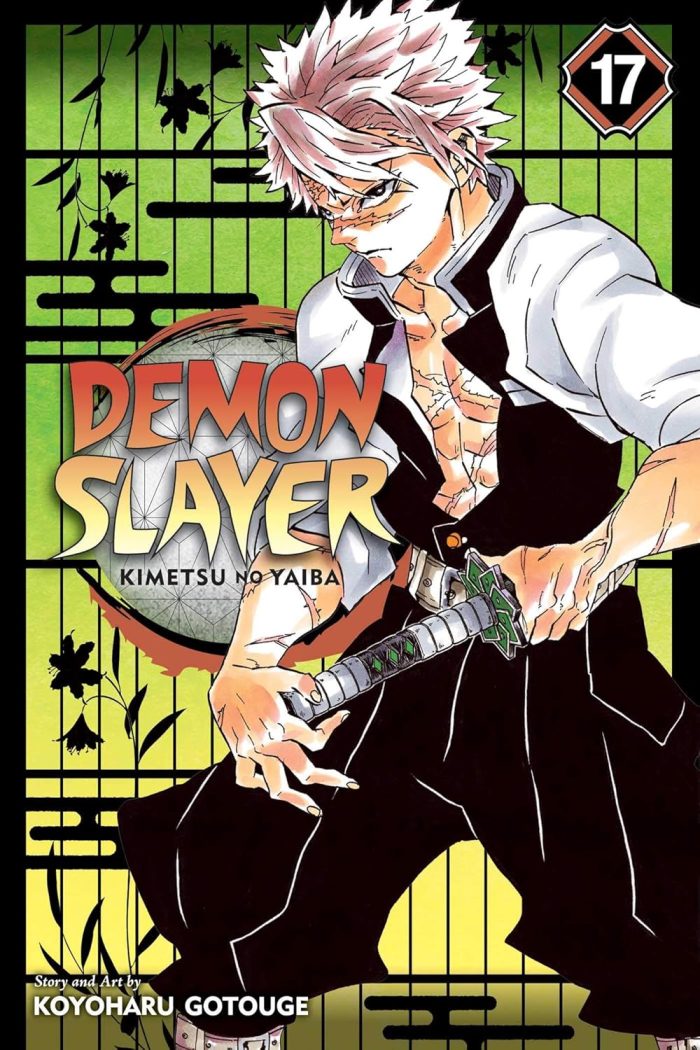 Demon Slayer - Kimetsu no Yaiba Vol. 17: Successors Demon Slayer - Kimetsu no Yaiba Vol. 17: Successors
