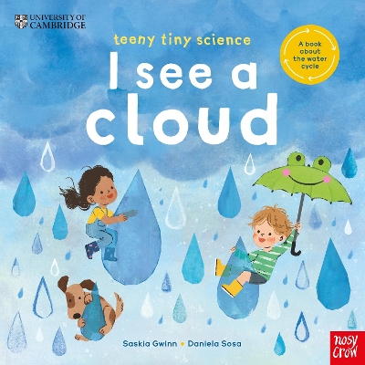 UNIVERSITY OF CAMBRIDGE: TEENY TINY SCIENCE: I SEE A CLOUD :