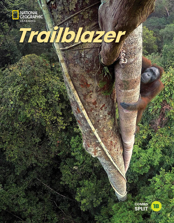 Trailblazer 1 Combo Split B with the Spark platform