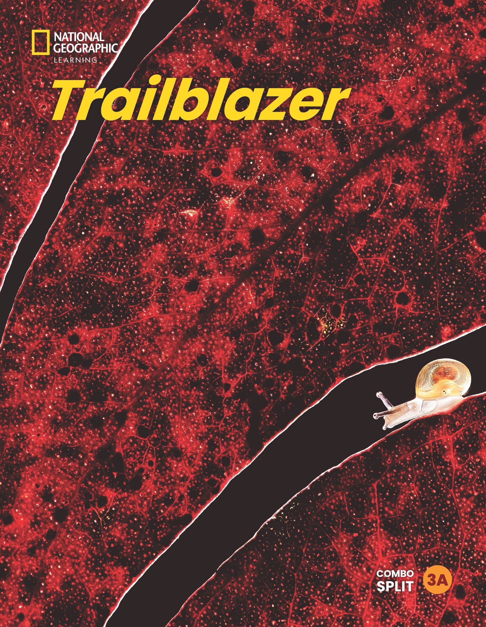Trailblazer 3 Combo Split A with the Spark platform