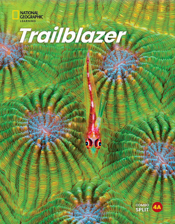 Trailblazer 4 Combo Split A & Spark Platform