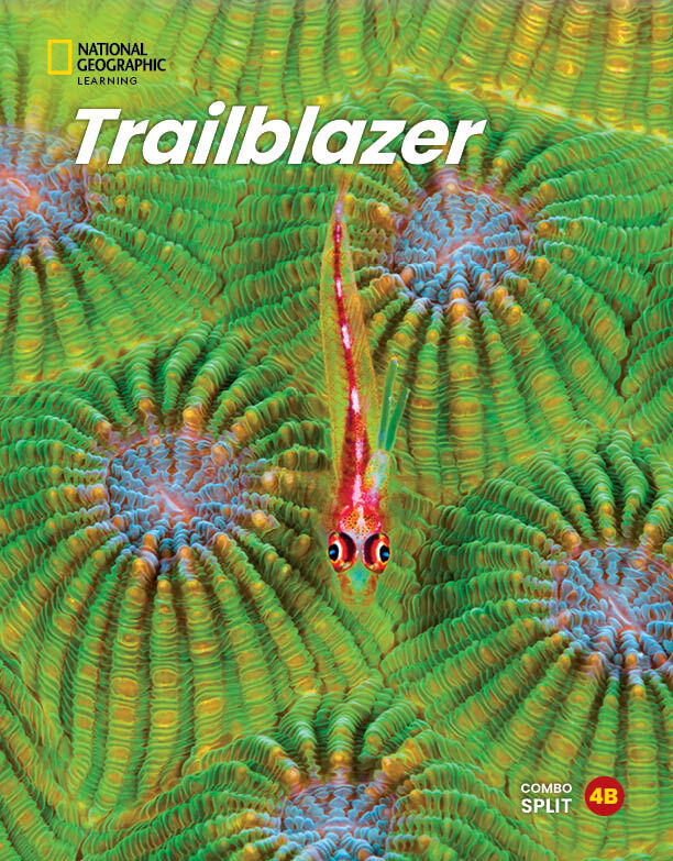 Trailblazer 4 Combo Split B & Spark Platform