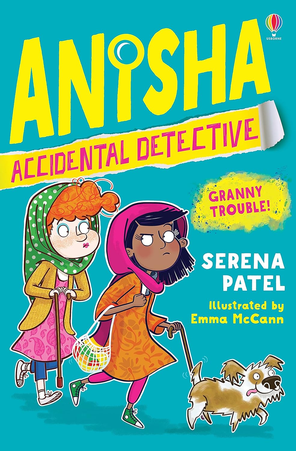 Anisha, Accidental Detective #3 Granny Trouble