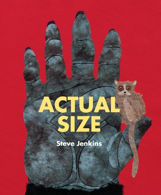 ACTUAL SIZE - STEVE JENKINS