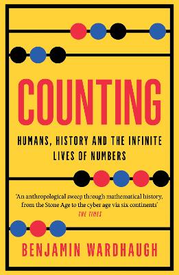 COUNTING : HUMANS HISTORY AND THE INFINITE LIVES OF NUMBERS