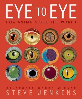 EYE TO EYE  HC - STEVE JENKINS