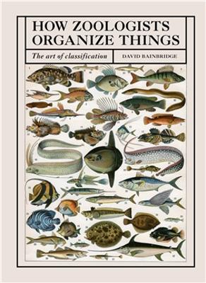 HOW ZOOLOGISTS ORGANIZE THINGS : THE ART OF CLASSIFICATION P