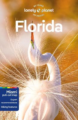 LONELY PLANET FLORIDA 10 GUIDEBOOK - END DATE 31/7/2025 - LO