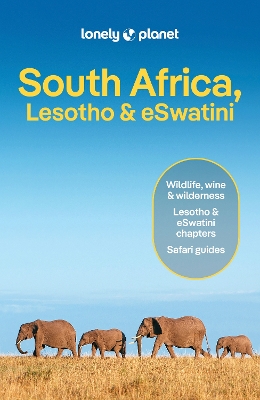 LONELY PLANET SOUTH AFRICA LESOTHO   ESWATINI 13 GUIDEBOOK -