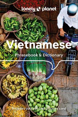 LONELY PLANET VIETNAMESE PHRASEBOOK   DICTIONARY 9 LANGUAGE