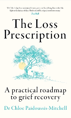 THE LOSS PRESCRIPTION : A PRACTICAL ROADMAP TO GRIEF RECOVER